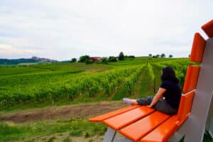 10 Reasons to Visit Piemonte in Northern Italy - Discover Northern Italy