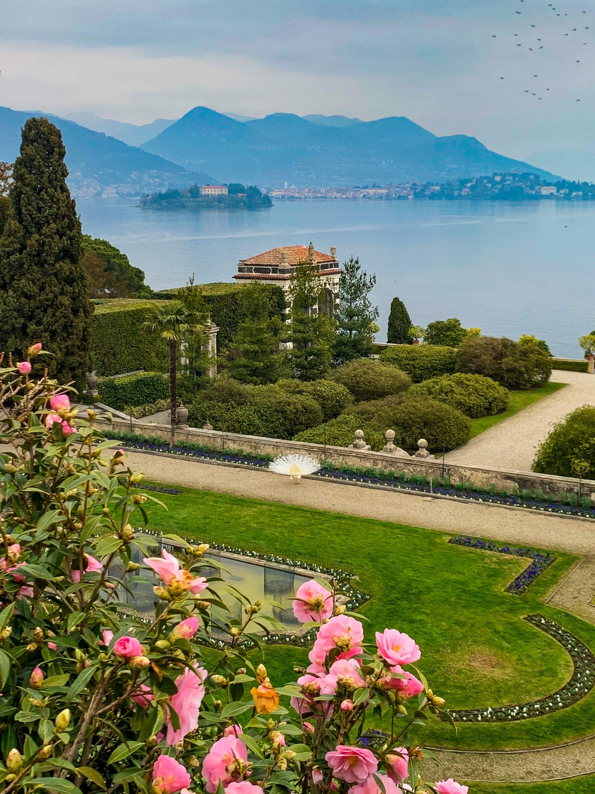 Isola Bella Gardens at Lake Maggiore in Italy