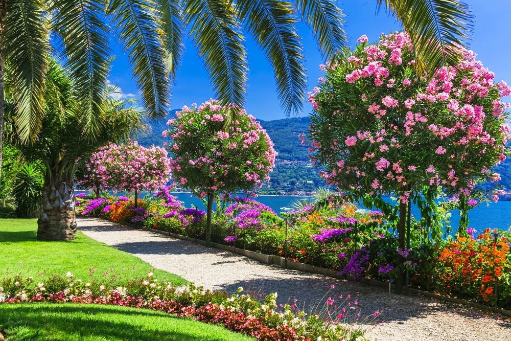 Isola madre gardens with glimpses of Lake Maggiore