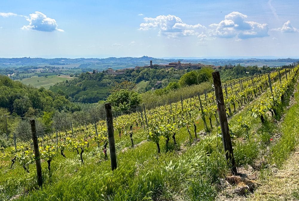 vineyards, green hills, and a hilltop village in the distance in Piemonte Italy
