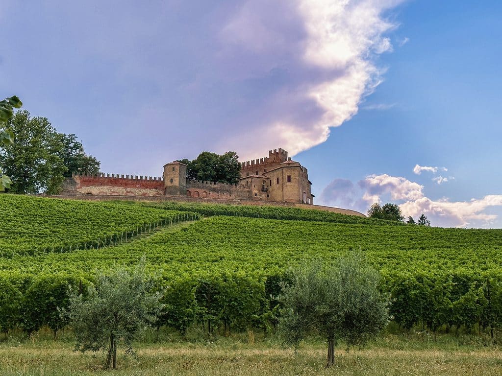 castle on a hill with grape vines and olive trees in front in Montemagno Monferrato Italy
