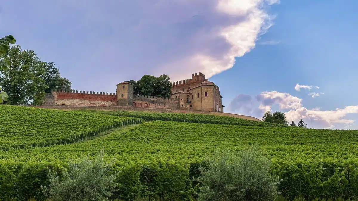 castle on a hill with grape vines and olive trees in front in Montemagno Monferrato Italy
