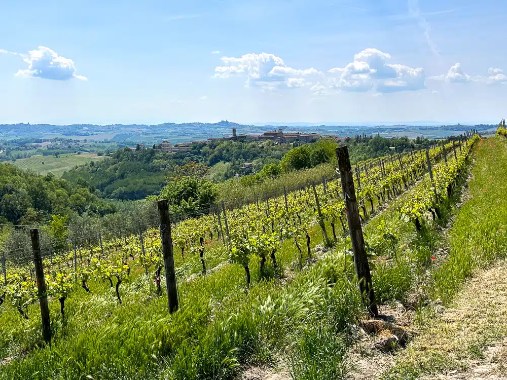 monferrato Italy hillside with grape vines and a hilltop village in the distance